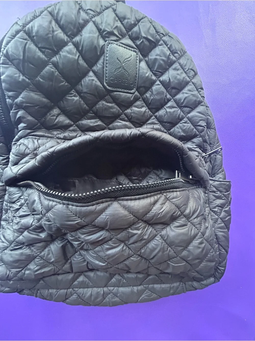 CAPEZIO B203W Technique Quilted Black Backpack with Logo Patch